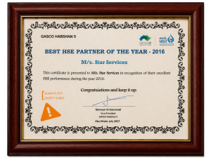 best hse partner